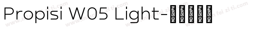 Propisi W05 Light字体转换